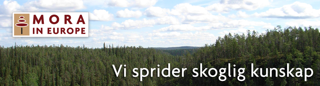 Mora in Europe – Vi sprider skoglig kunskap