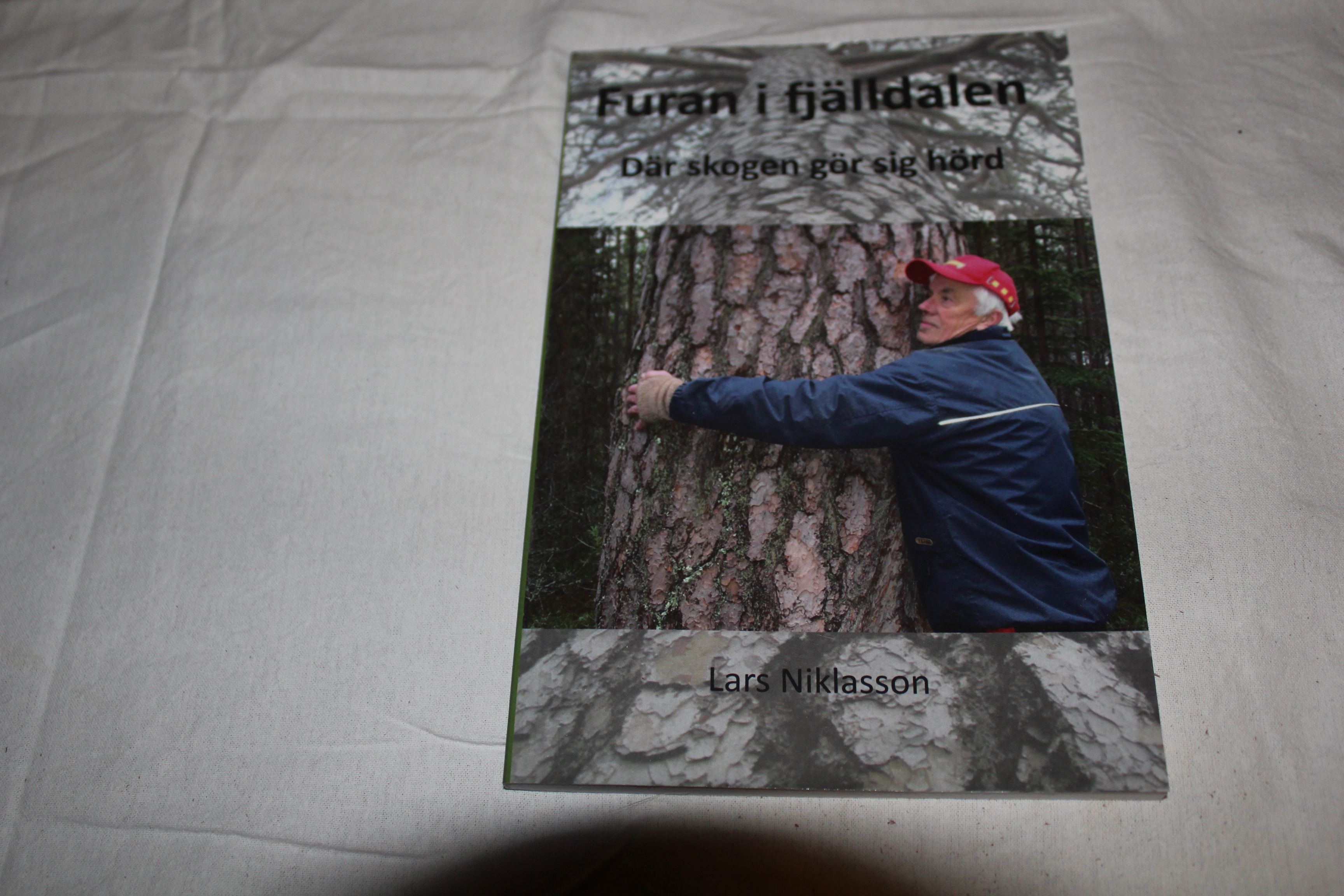Furan i fjälldalen – Där skogen gör sig hörd
